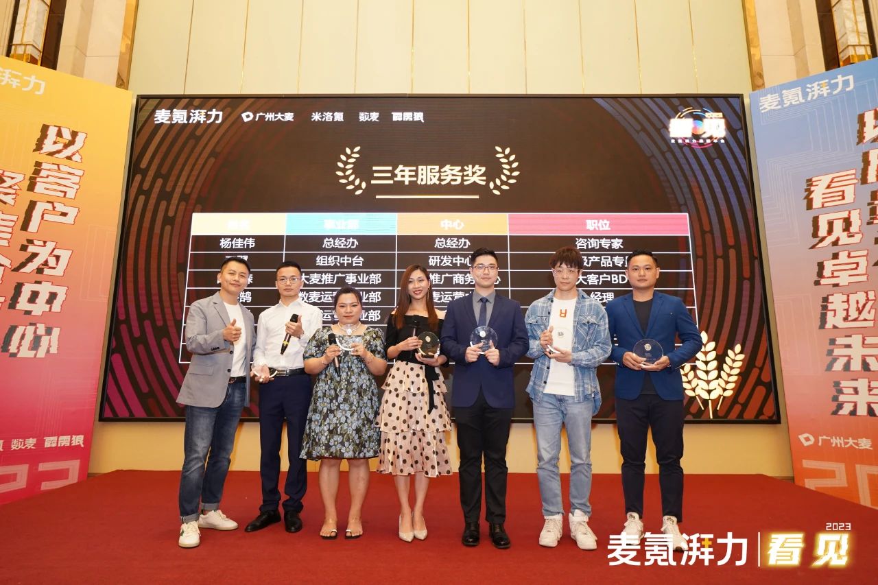 大麦电商代运营