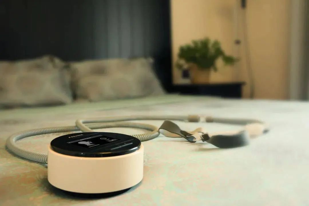 广州大麦 广州大麦