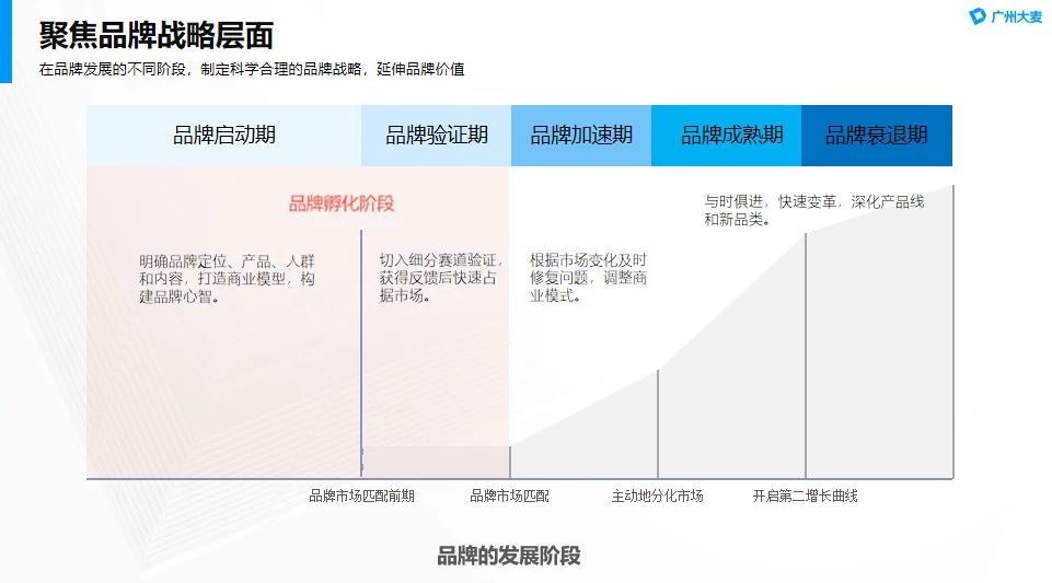 广州大麦电商 广州大麦电商
